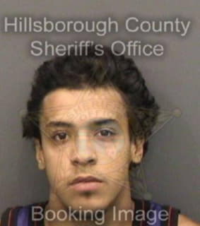 Martinez Jose - Hillsborough County, Florida 