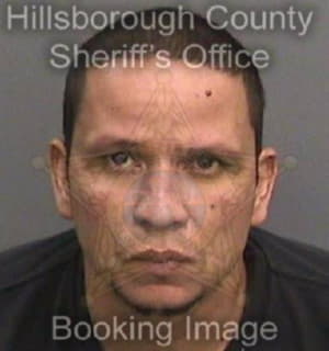 Dominguez Alexandro - Hillsborough County, Florida 