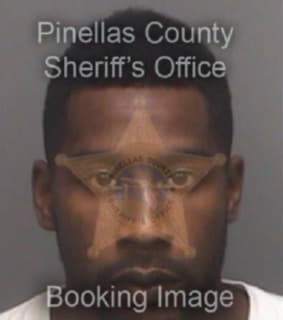 Evins Anthony - Pinellas County, Florida 