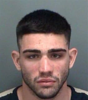 Demopoulos Yannis - Pinellas County, Florida 