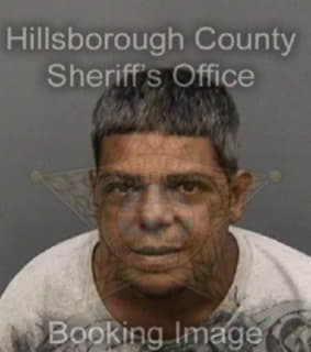 Lugo Norberto - Hillsborough County, Florida 