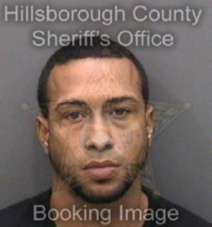 Rodriguezrodriguez Carlos - Hillsborough County, Florida 