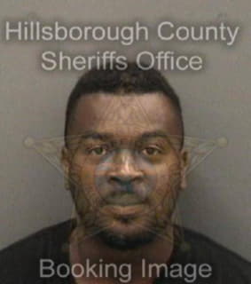 Ross Curtis - Hillsborough County, Florida 