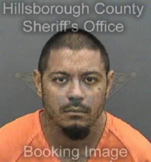 Aguilera Daniel - Hillsborough County, Florida 