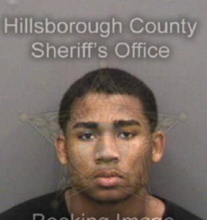 Wilson Dantavian - Hillsborough County, Florida 