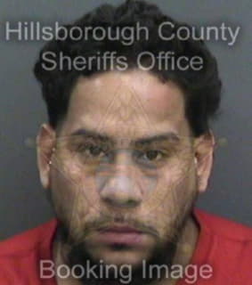 Nina Eliu - Hillsborough County, Florida 