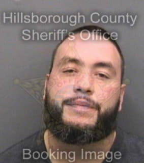 Dejesus Jr - Hillsborough County, Florida 