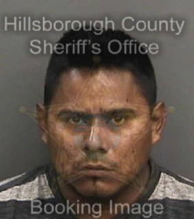 Lopezhernandez Julio - Hillsborough County, Florida 