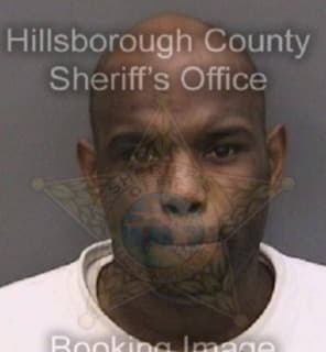 Johnson Michael - Hillsborough County, Florida 