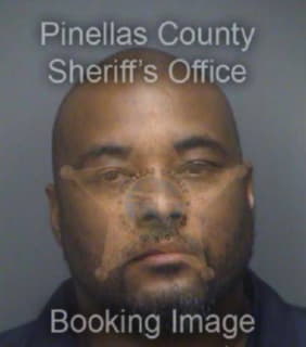 Johnson Michael - Pinellas County, Florida 