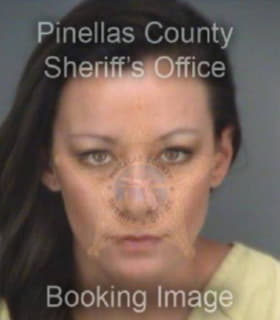 Gibson Nicole - Pinellas County, Florida 