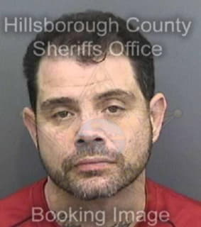 Regan Sean - Hillsborough County, Florida 