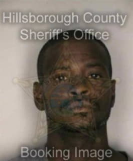 Williams Darrell - Hillsborough County, Florida 