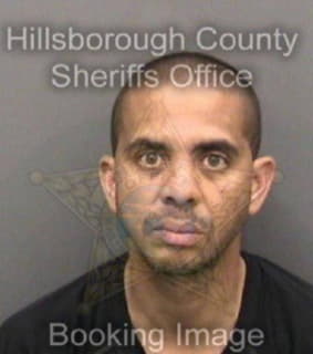 Collins Dwayne - Hillsborough County, Florida 