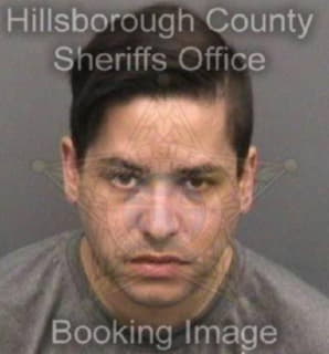 Ramosortiz Edwin - Hillsborough County, Florida 