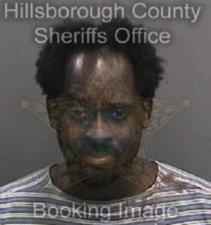 Newsome Kenneth - Hillsborough County, Florida 