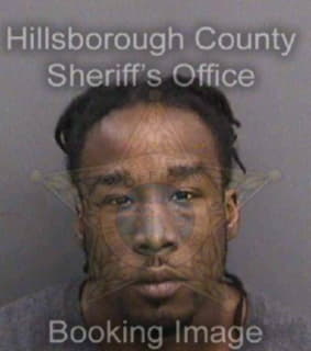 Lewis Michael - Hillsborough County, Florida 