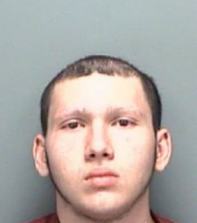 Hartley Shane - Pinellas County, Florida 