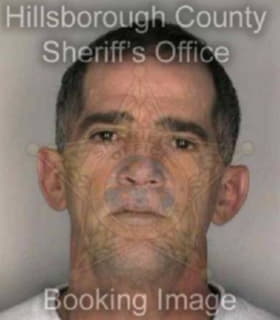 Lopez Evelio - Hillsborough County, Florida 