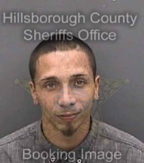 Dejesus Michael - Hillsborough County, Florida 