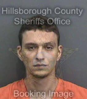 Rogers Aaron - Hillsborough County, Florida 