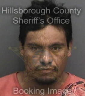 Martinezramon Abel - Hillsborough County, Florida 