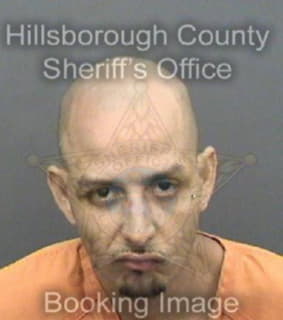 Vega David - Hillsborough County, Florida 