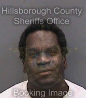 Robinson Demetrius - Hillsborough County, Florida 