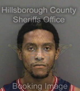 Lewis Joshua - Hillsborough County, Florida 