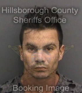 Rodriguezgonzalez Luis - Hillsborough County, Florida 