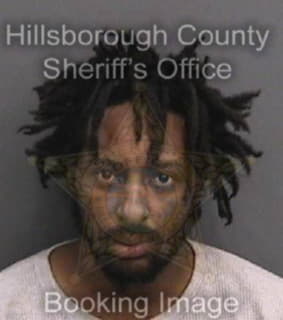 Lee Samuel - Hillsborough County, Florida 