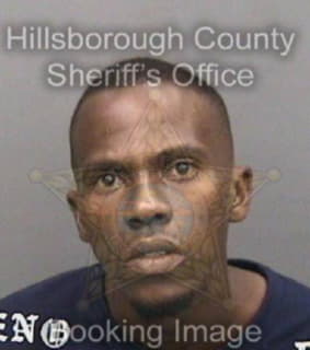 Robinson Christopher - Hillsborough County, Florida 