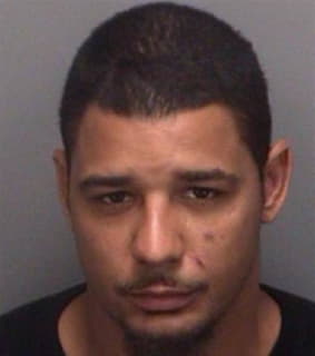 Hollis Deman - Pinellas County, Florida 