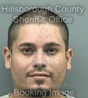 Deluna Herman - Hillsborough County, Florida 