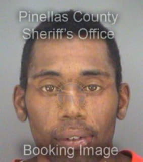 Johnson James - Pinellas County, Florida 