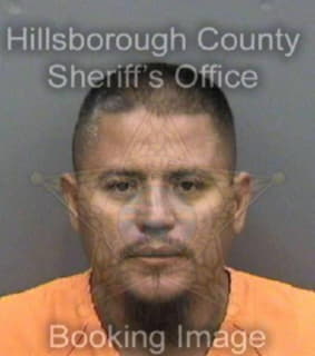 Collin Jose - Hillsborough County, Florida 