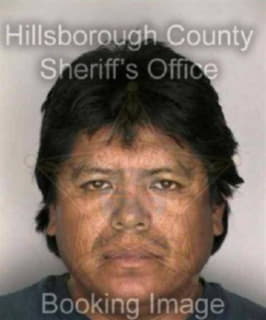 Rosales Paulino - Hillsborough County, Florida 