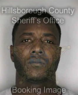 Johnson Nathaniel - Hillsborough County, Florida 