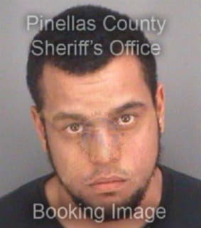 Creel Pauldon - Pinellas County, Florida 