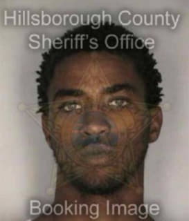 Perry Ron - Hillsborough County, Florida 