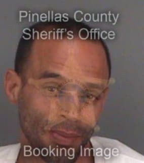 Johnson Erich - Pinellas County, Florida 