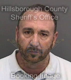 Dominguez Faustino - Hillsborough County, Florida 