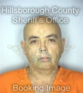 Franceschi Ivan - Hillsborough County, Florida 