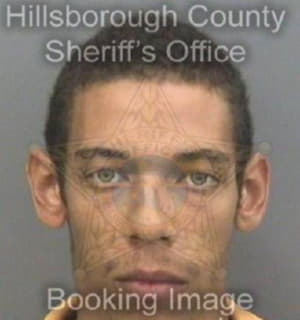 Knowles Steven - Hillsborough County, Florida 