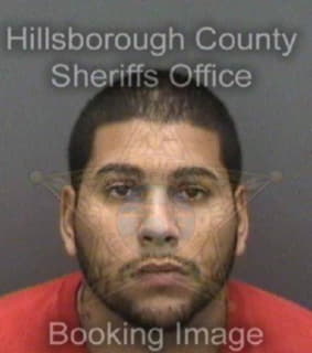 Castronunez Jose - Hillsborough County, Florida 