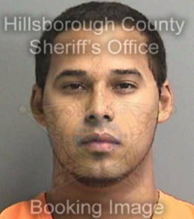 Otero Ramon - Hillsborough County, Florida 