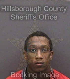 Anderson Rejai - Hillsborough County, Florida 