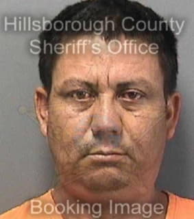 Mejia Victor - Hillsborough County, Florida 