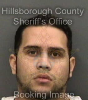 Rivera Amilcar - Hillsborough County, Florida 