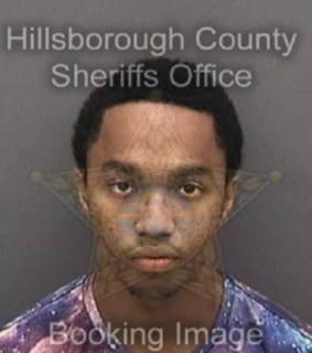 Downer Qayyim - Hillsborough County, Florida 